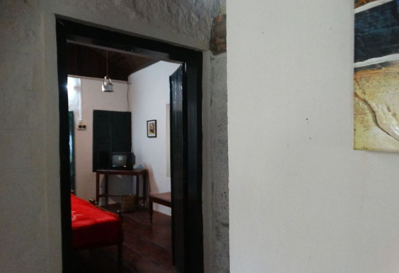 Hotel Chai Guest House Munnar 17