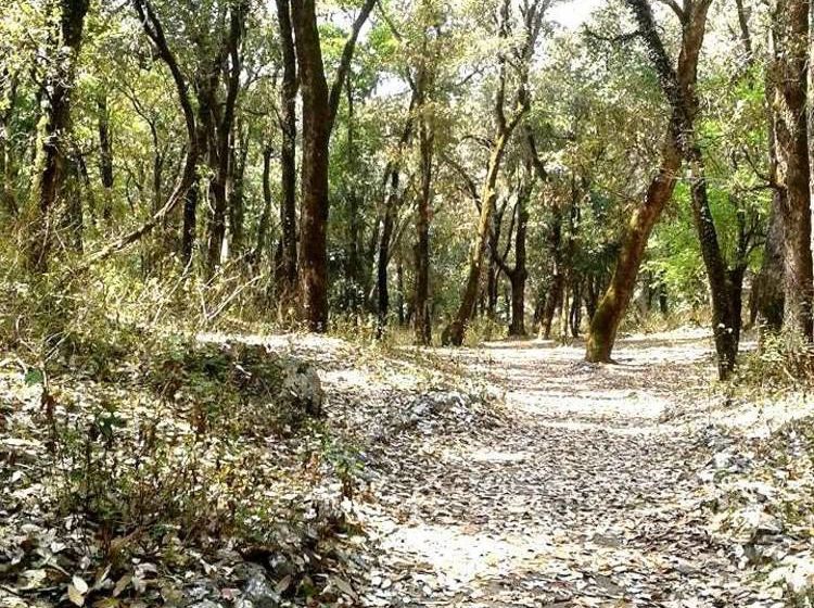 Hotel Fredy S Bunaglow 12