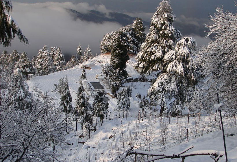 Hotel Anant Rasa An Amritara Private Hideaway 12