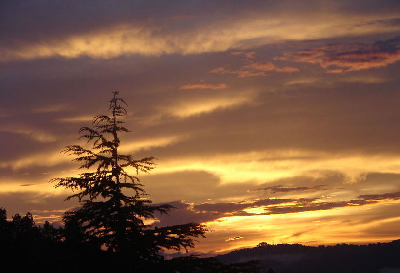 Hotel Anant Rasa An Amritara Private Hideaway 14