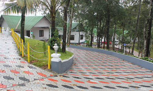 Hotel Misty Lake Resort 3