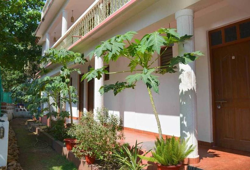 Pension Pebbles Guesthouse 13