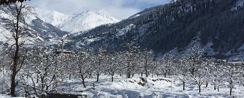 Hotel Urvashi S Retreat 2