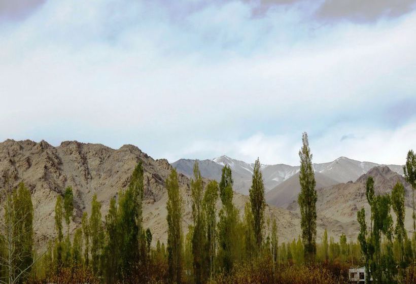 Pension Rahela Guest House & Home Stay 17