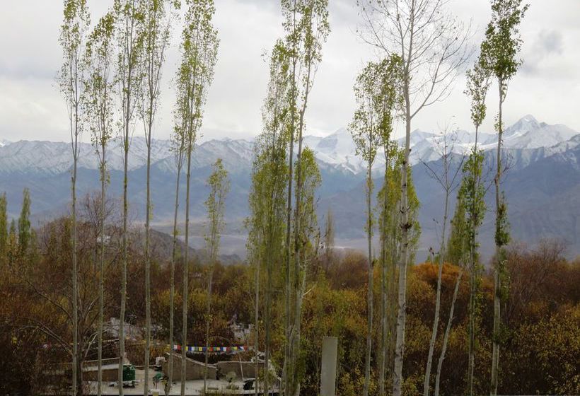 Pension Rahela Guest House & Home Stay 18