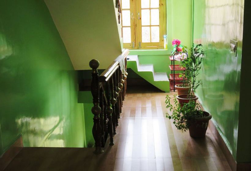 Pension Rahela Guest House & Home Stay 19