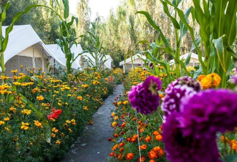 Hotel Mystique Meadows Camp Jammu y Cachemira