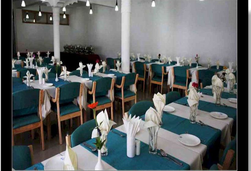 Hotel New Glacier View 16