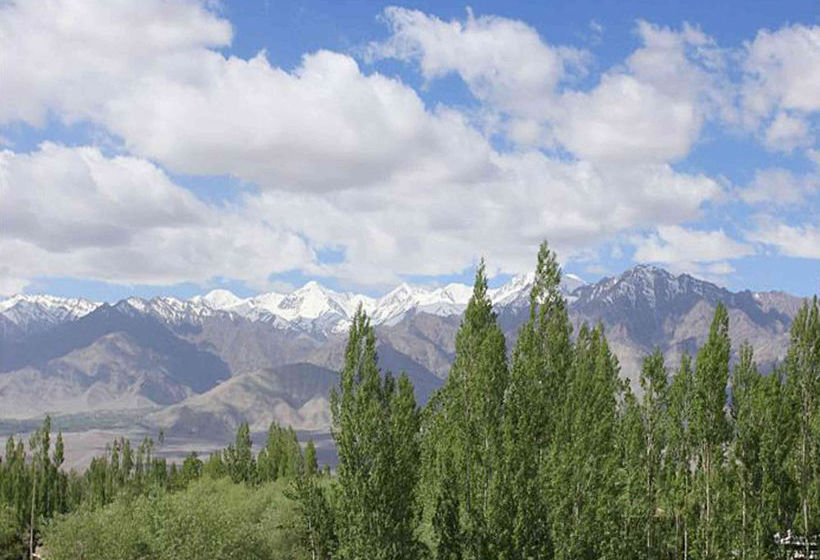 Hotel Mahay Palace 7