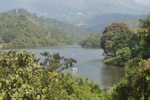 Munnar Tea Country Resort 20