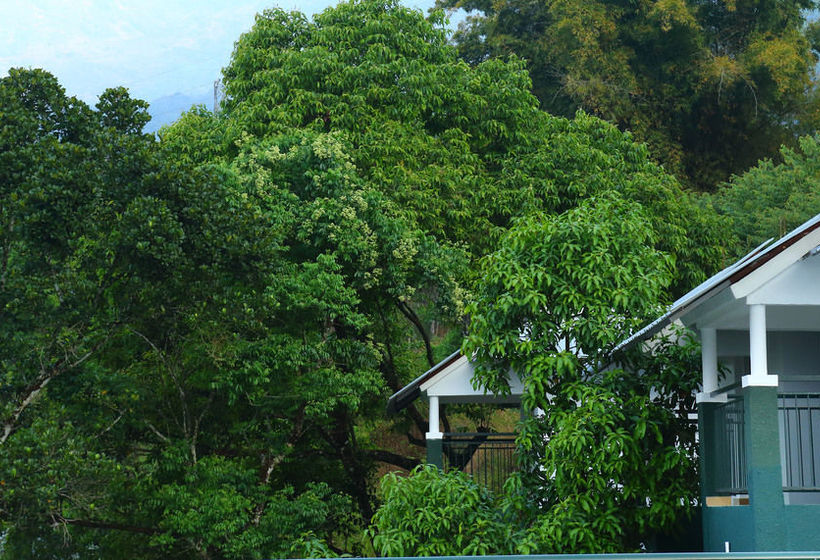 Munnar Tea Country Resort 5