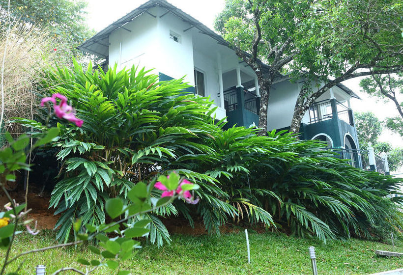 Munnar Tea Country Resort 6