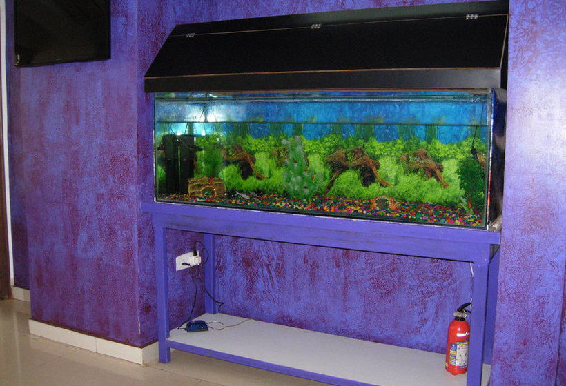 Hotel Brisa Marina 5