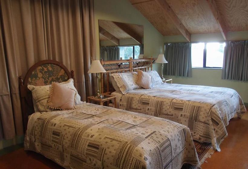 Ab Studio Palmerston North Isla Norte