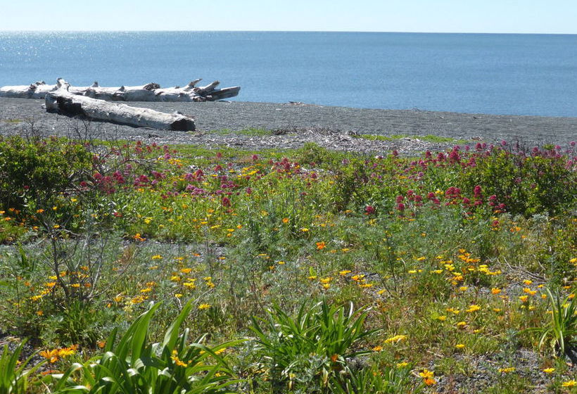 Napier Beach Kiwi Holiday Park & Motels 7