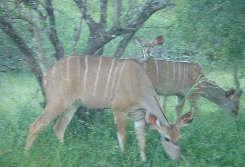 Pensión Le Roux Lodge Marloth Park