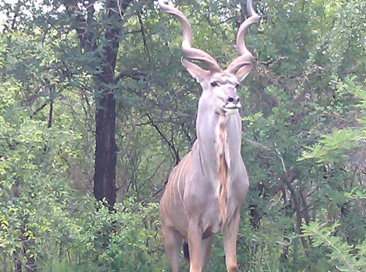 Pension Le Roux Lodge 15