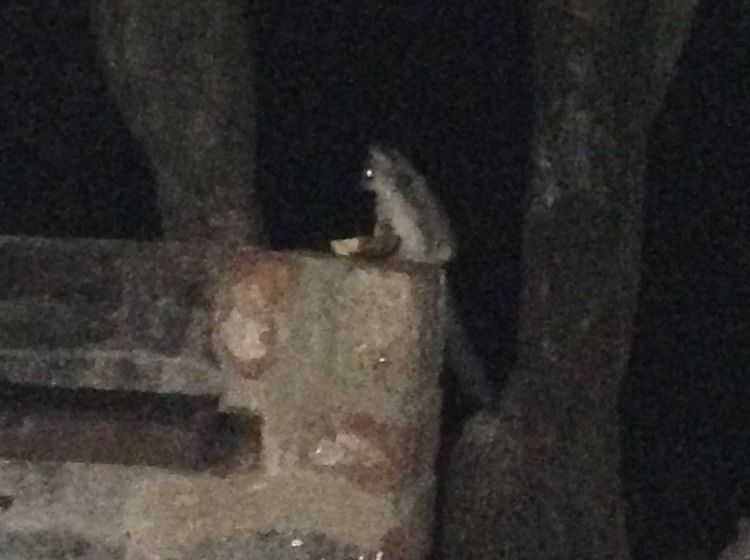 Pension Le Roux Lodge 17