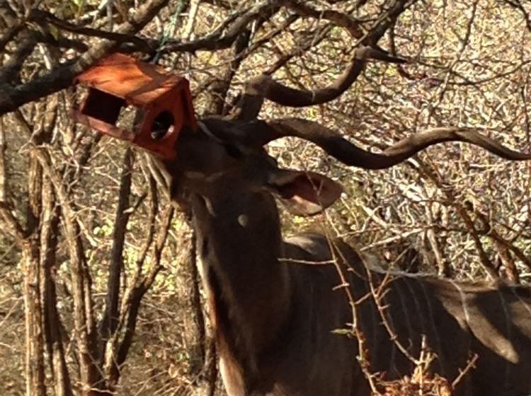 Pension Le Roux Lodge 18