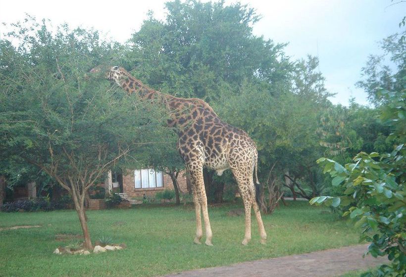 Pension Le Roux Lodge 5