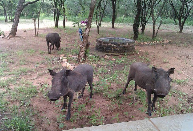 Pension Le Roux Lodge 7