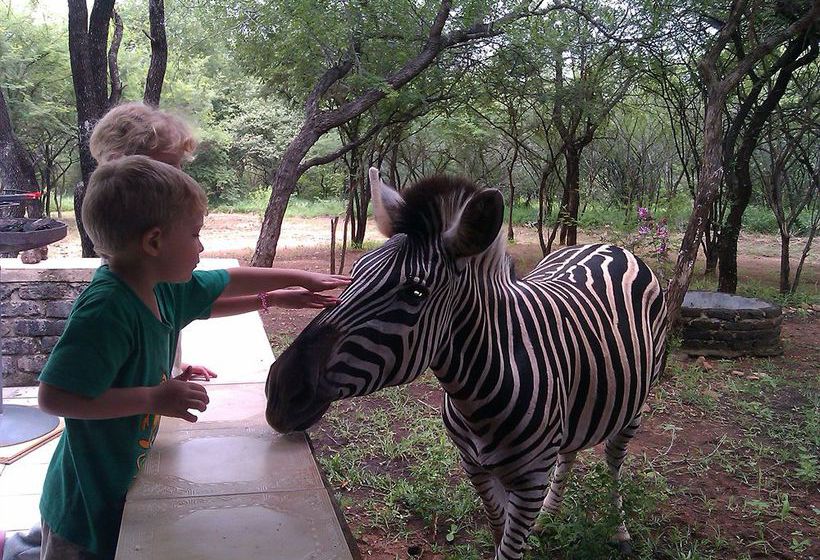 Pension Le Roux Lodge 8