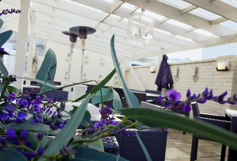 Hotel Escape To Picton 12