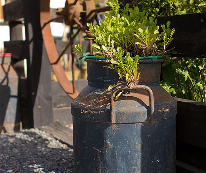 Cambridge Coach House 18