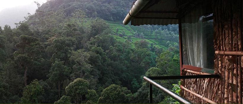 Wild Elephant Ecofriendly Resort 1