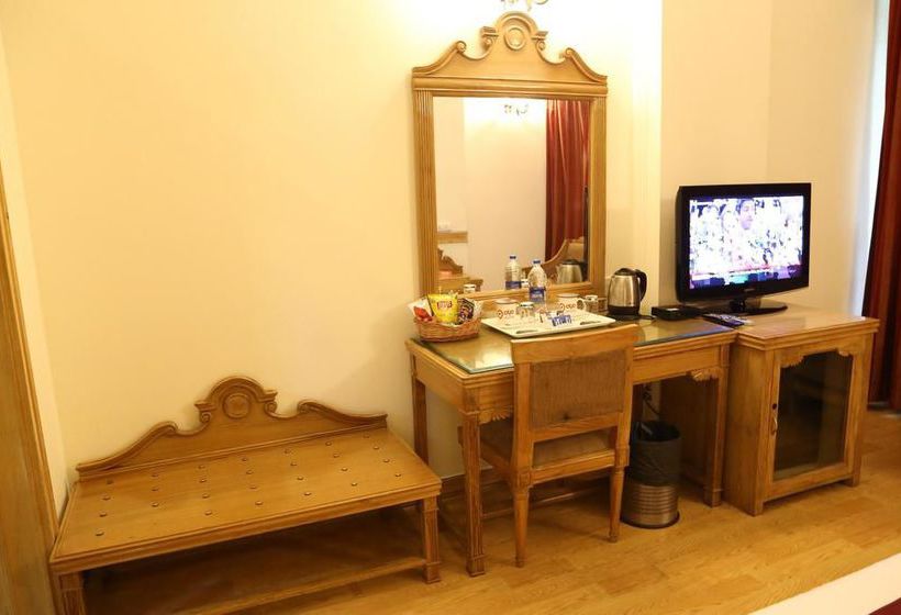 Hotel Oyo Premium Panchkula Bus Stand 10