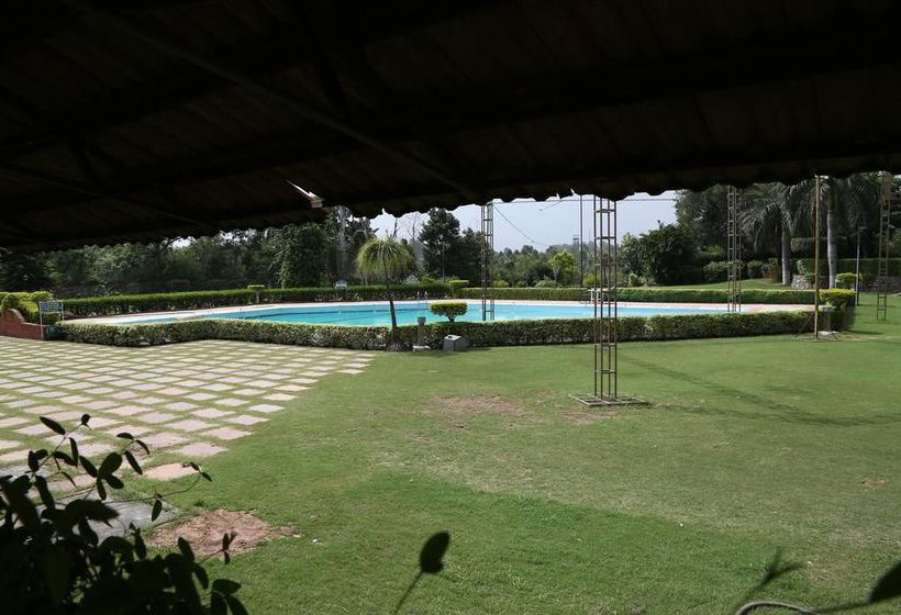 Hotel Oyo Premium Gurudwara Nada Sahib 6