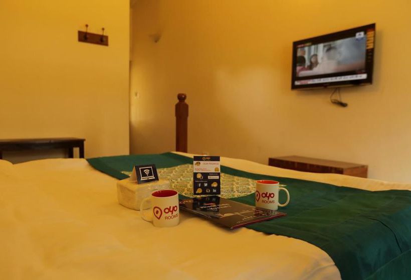 Hotel Oyo Premium Heritage Stays Charing Cross 16