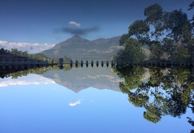 Resort Lilies Munnar 9