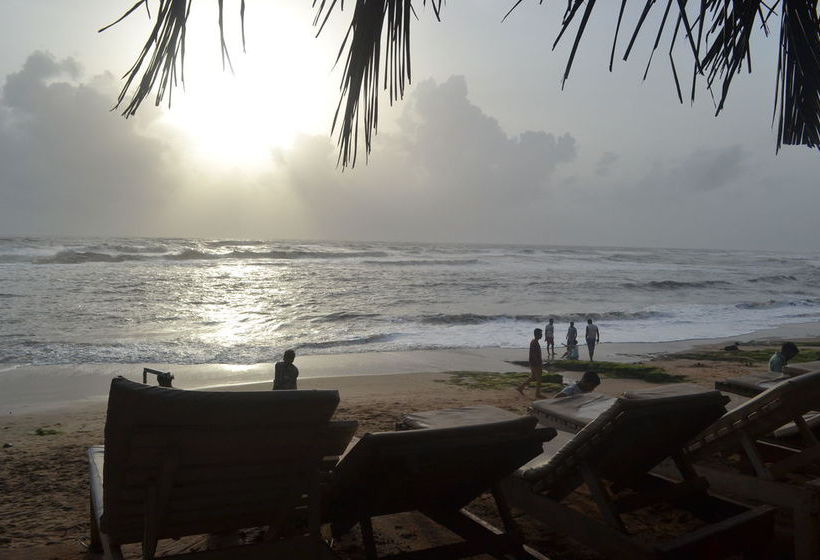 Hostal Curlies Zulu Land Anjuna