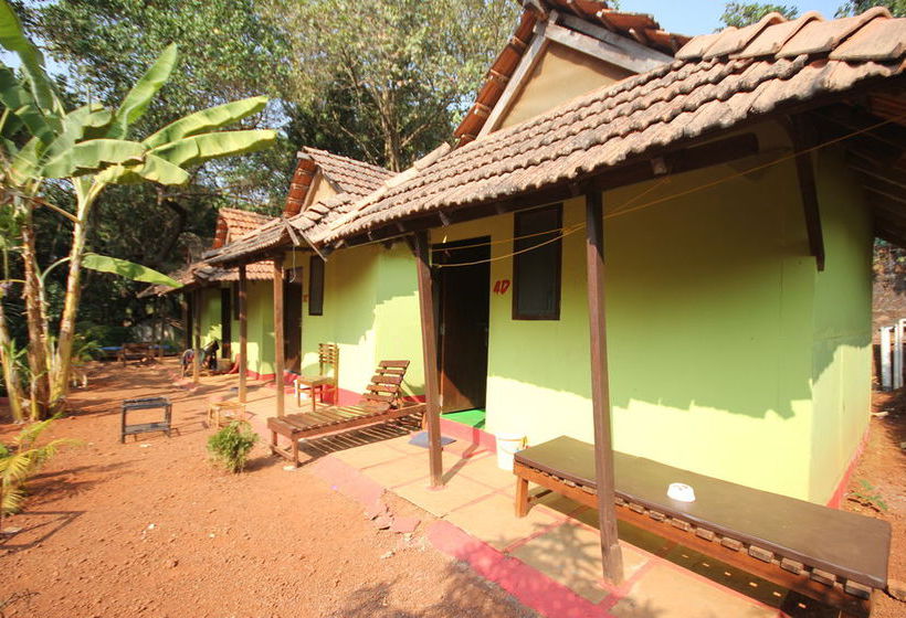 Hôtel (catégorie 1/2 *) Curlies Zulu Land 10