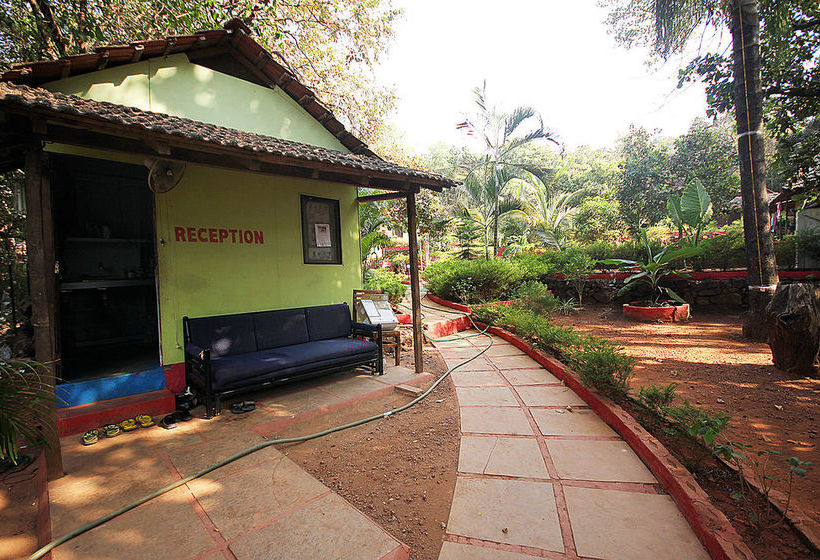 Hôtel (catégorie 1/2 *) Curlies Zulu Land 13