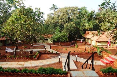 Hôtel (catégorie 1/2 *) Curlies Zulu Land 17