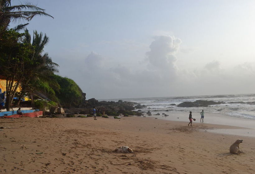 Hôtel (catégorie 1/2 *) Curlies Zulu Land 2