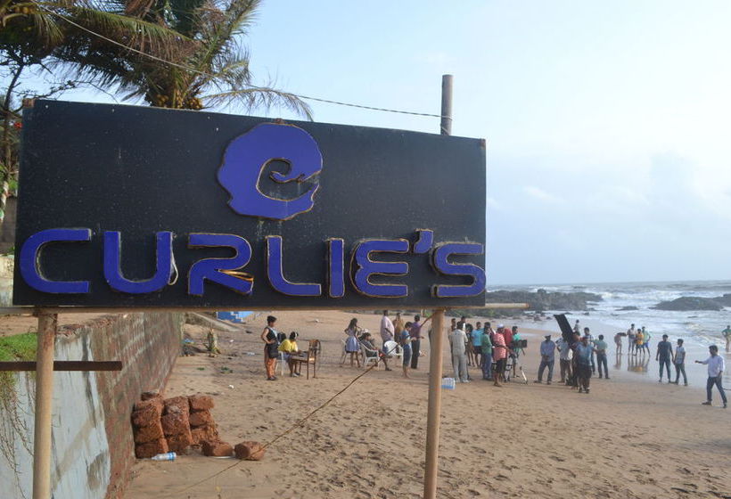 Hôtel (catégorie 1/2 *) Curlies Zulu Land 3