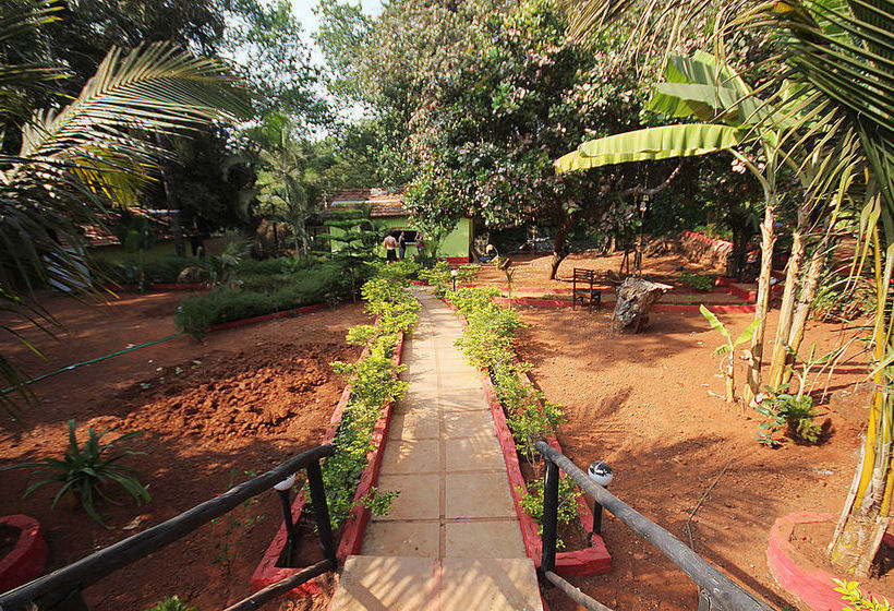 Hôtel (catégorie 1/2 *) Curlies Zulu Land 5