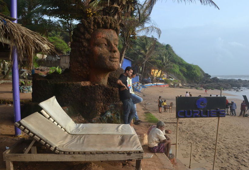 Hôtel (catégorie 1/2 *) Curlies Zulu Land 7