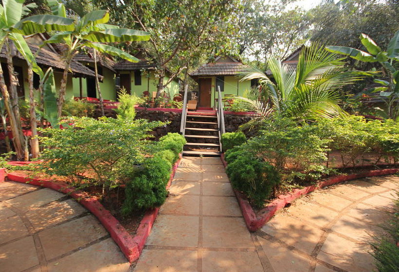 Hôtel (catégorie 1/2 *) Curlies Zulu Land 8