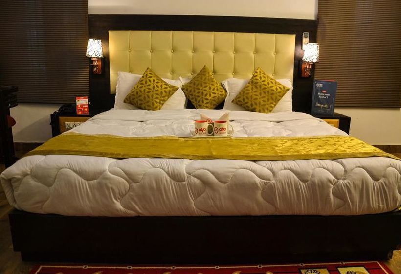 Hotel Oyo Rooms Heritage Charbagh 5
