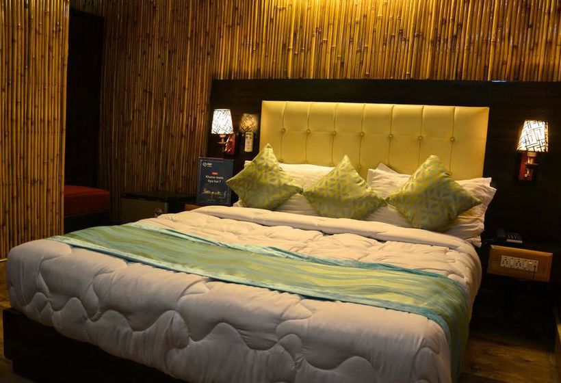 Hotel Oyo Rooms Heritage Charbagh 8