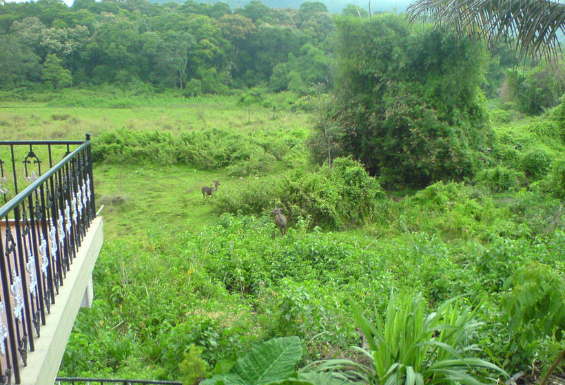 Pension Jungle Palace Homestay 7