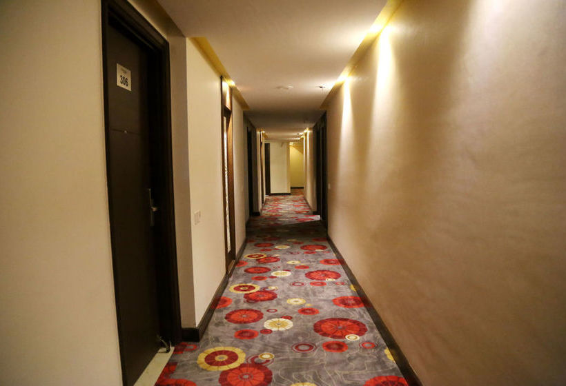 Hotel Oyo Premium Bsf Chowk Main Gt Road 6