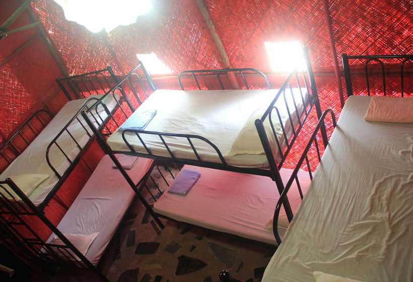 Bricks And Bamboo Hostel 4