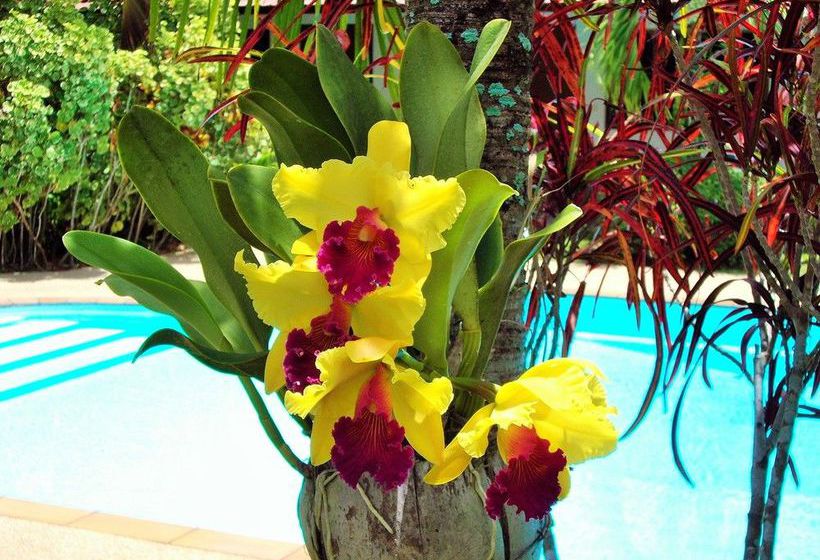 Hotel The Golddigger's Resort 13