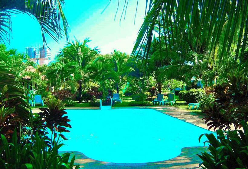 Hotel The Golddigger's Resort 5