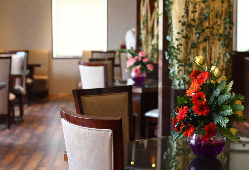 Hotel Oyo Premium Railway Station Ajmer Ajmer